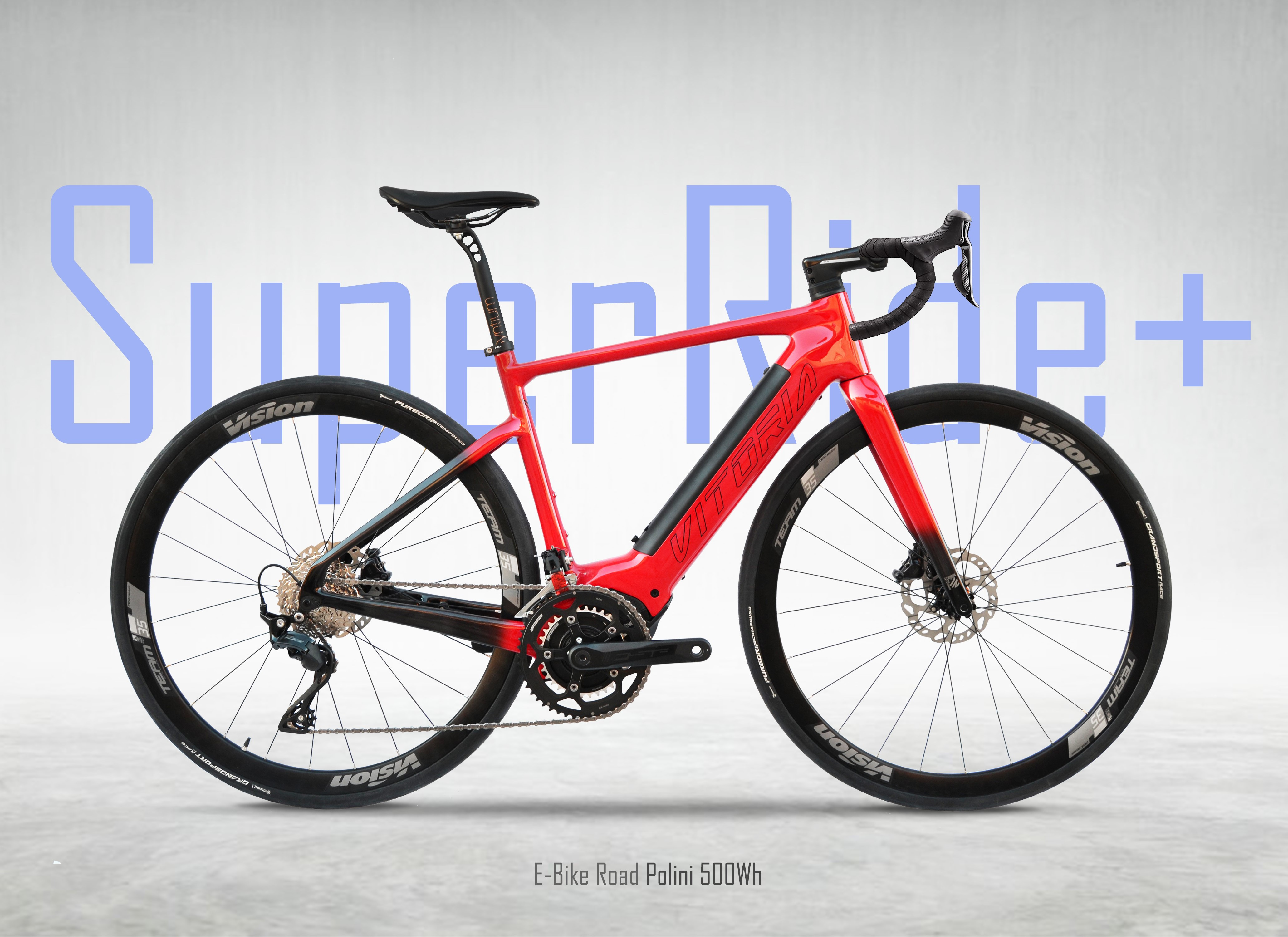 New E-Bike Road and Gravel Polini E-P3+ Motor